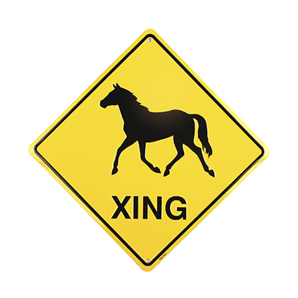 Metalen plaat groot 41. XING