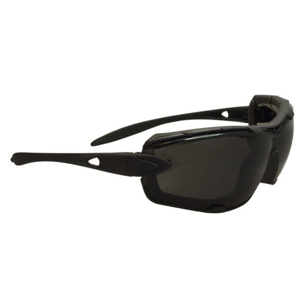 SwissEye bril Detection #40341