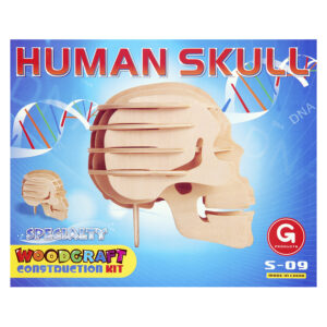 Houten bouwpakket skull S-09 #3120