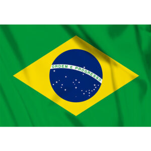 Vlag Brazilie