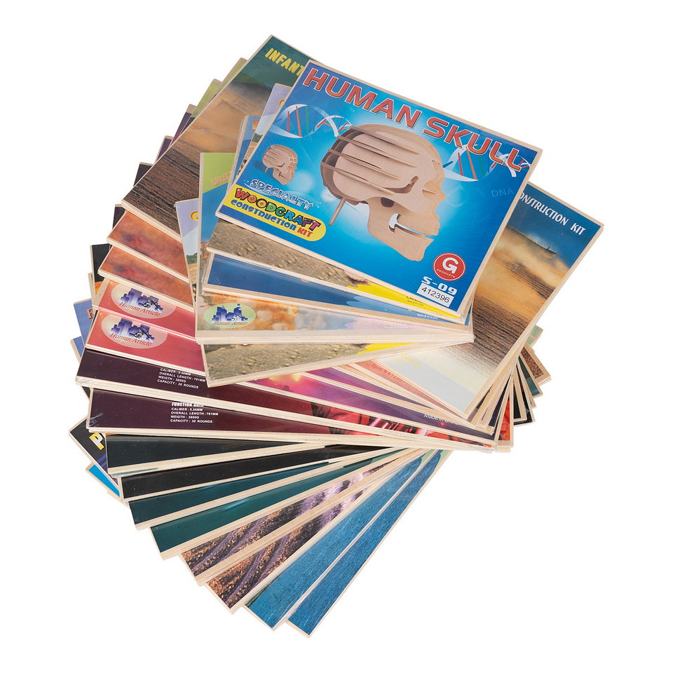 Set van 20 stuks houten bouwpakketten