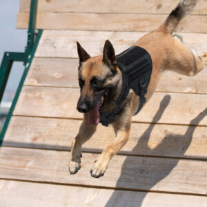 Hondenharnas - K9 tactical honden tuigje